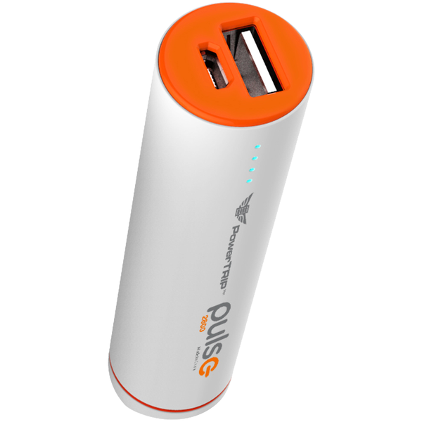 PULSE CHARGER