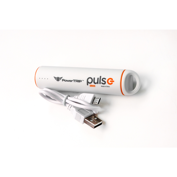 PULSE CHARGER