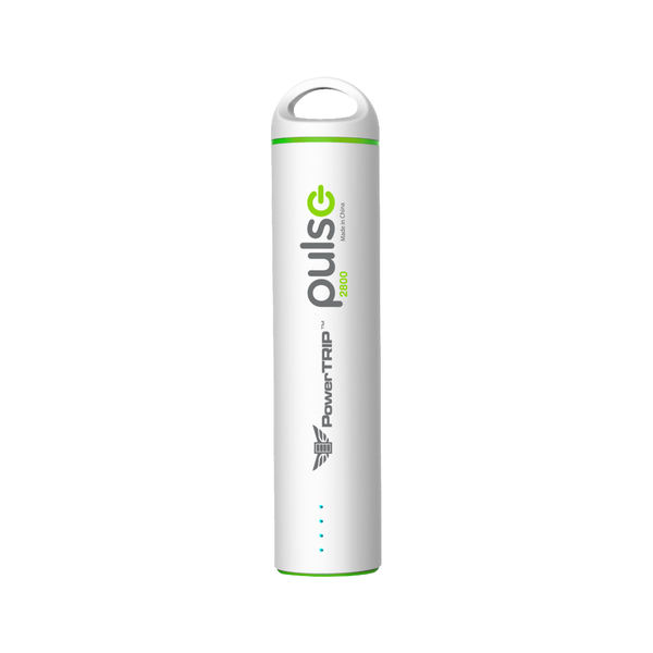 PULSE CHARGER