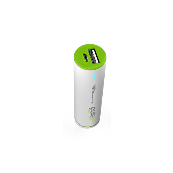 PULSE CHARGER