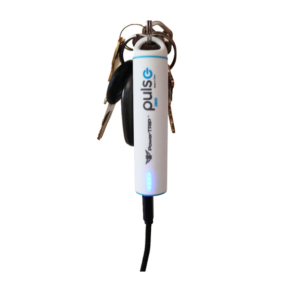 PULSE CHARGER