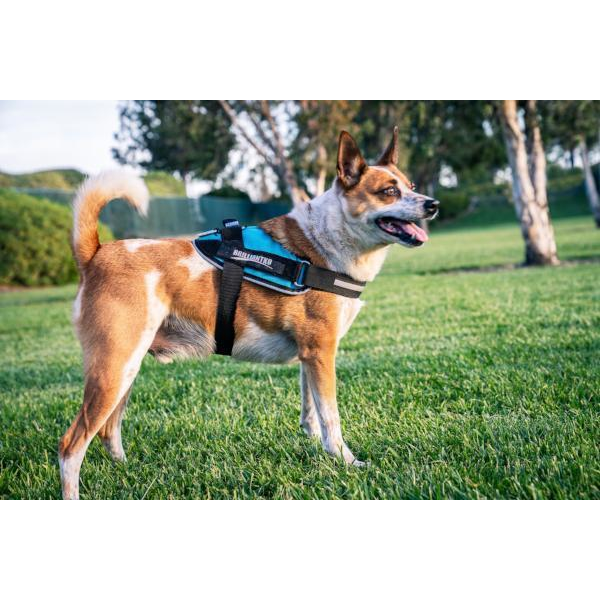 BrilliantK9 Ergonomic Dog Harness Ares