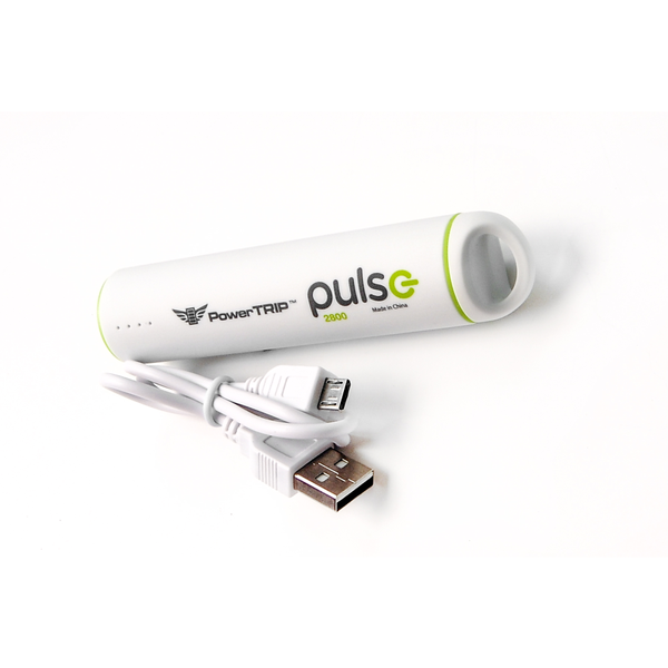 PULSE CHARGER