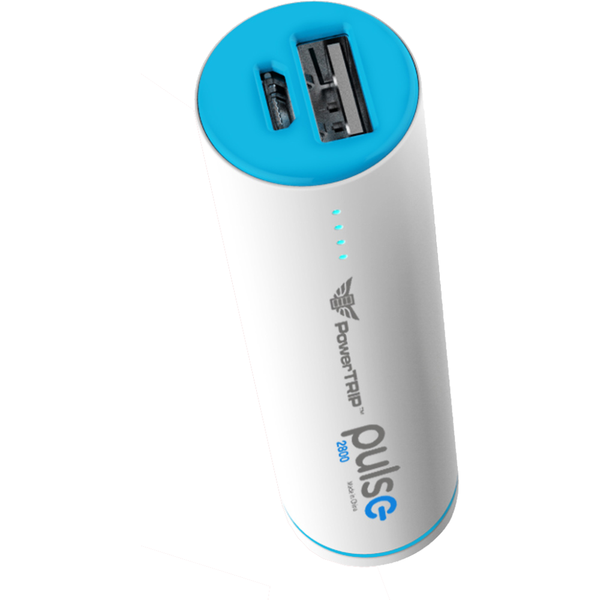 PULSE CHARGER