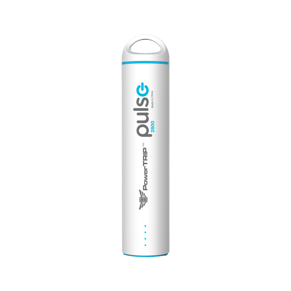 PULSE CHARGER