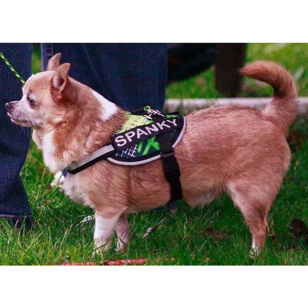 BrilliantK9 Ergonomic Dog Harness Oliver