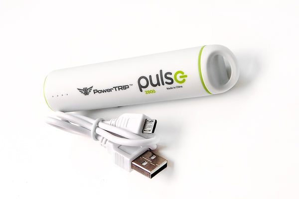 PULSE CHARGER