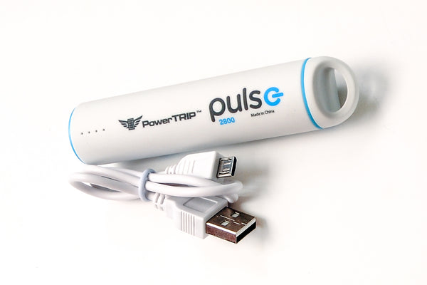 PULSE CHARGER