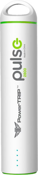 PULSE CHARGER