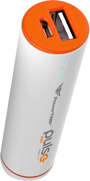 PULSE CHARGER