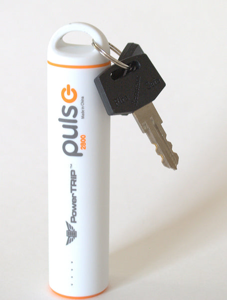PULSE CHARGER