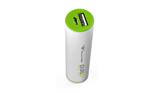 PULSE CHARGER