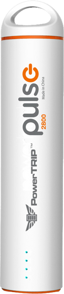 PULSE CHARGER