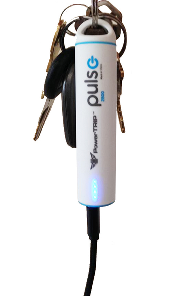 PULSE CHARGER