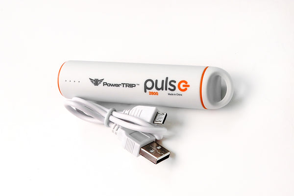 PULSE CHARGER