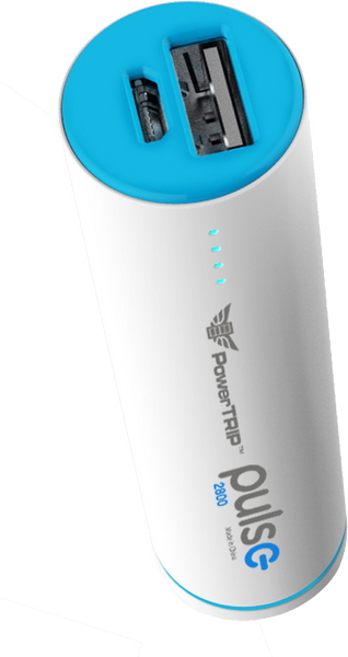 PULSE CHARGER