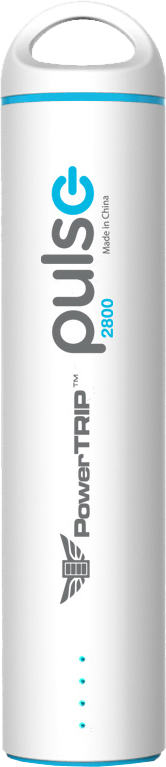 PULSE CHARGER
