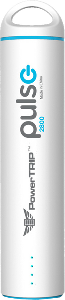 PULSE CHARGER
